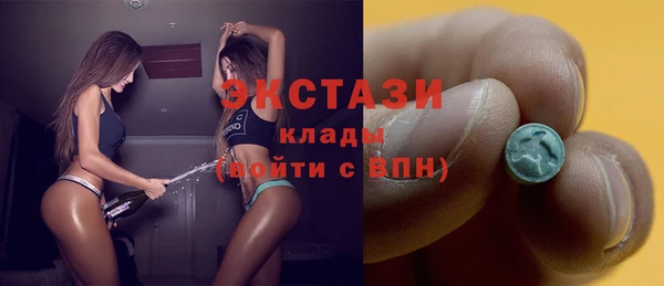 шишки Гусиноозёрск