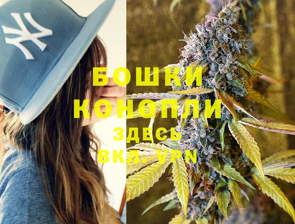 PSILOCYBIN Абдулино