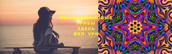 PSILOCYBIN Абдулино